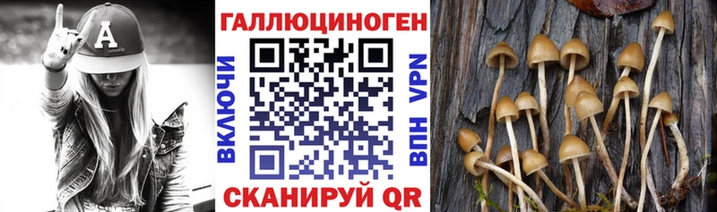 Галлюциногенные грибы Cubensis Морозовск